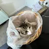 clipsandthat04