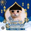 zafihartiana_01