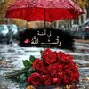 user70737608123620