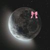 kim_noor13jk