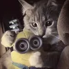 _tatippl