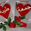 user4620186557600