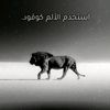 mhmd.h.fouani