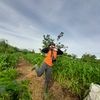 hi_ria1112