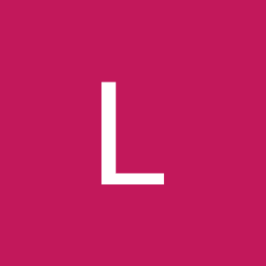 leandrogoncalvesd98
