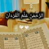 yamor_333