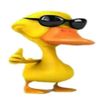 g0g0lo0dash