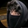 omerabdelaziz26