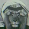 .m19843