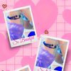 hapipa.mahamed3