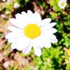 unknown_unknown7377