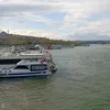italiano.vero961