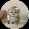 suzen_rahman_xs0