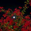 nouran8354