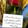 sharialzarny