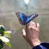 user9522122190006