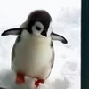 pinginorx2