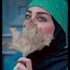 llimn22