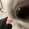 paranoiderkater