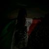 whois_shee05