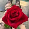 miu_qww