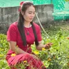 quyen.ngo3060