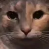 mingoverdose