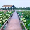 user010119772