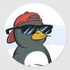 user442051930