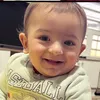 najeabarzanii2