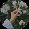 waheed8758