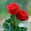 user8493054861049