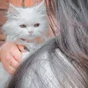 عــــشق