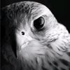 user35520069018134