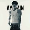 ayliminv