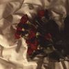 nzwa__shj34