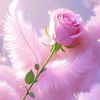 user1986585052143