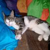 khairul.mustafa2