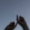 lisa_209394