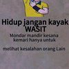 wwwtiktokcompusat