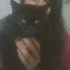 yopimipbf4m