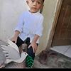 abdularya281995