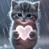 user88085710651421