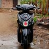 trexxy160