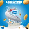 lactasoymilk22