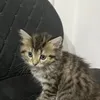 andrej_748