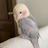 user065551856