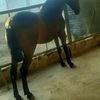 user11478613779022