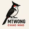 mtwong.chaomao