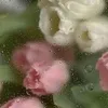 nguyen.hoangyen4